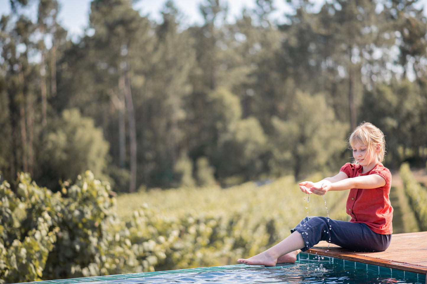 Top Gerbera Terracotta